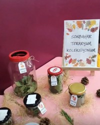 SONBAHAR TERARYUMU YAPIYORUZZ