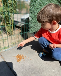 Kedileri Besliyoruz!