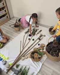 Sonbahar Ağacımız