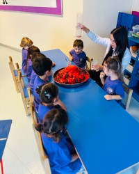 YANARDAĞ ETKİNLİĞİ