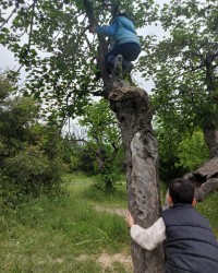 Orman Eğitimi Günlüğümüzden...