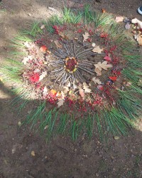 Orman Eğitimi Günlüğümüzden...