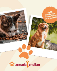 4 EKİM DÜNYA SOKAK HAYVANLARI ETKİNLİĞİMİZ