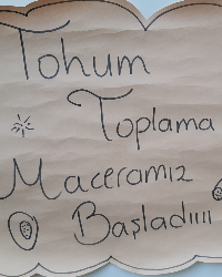 Tohum Toplama Maceramız Başladı!