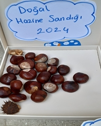 Doğal Hazine Sandığımız 2024!