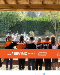 MİNİ MİNİ BİRLERİN HAYVAN DOSTLARI İLE BULUŞMASI