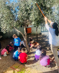 Bahçemizde Zeytinlerimizi Topluyoruz