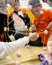 STEM ALT TABANLI GRUP ÇALIŞMASI