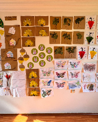 Sanat ve Fen Doğa Atölyemiz