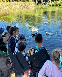 Doğa Temelli Eğitim