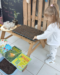 Tohum topları oluşturduk