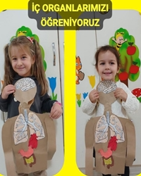 İç Organlarımızı Öğreniyoruz!