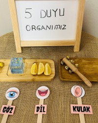 5 DUYU ORGANIMIZ