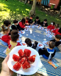 Hayal Bahçemde Her Mevsim Dalından Meyve Toplayıp Yiyoruz