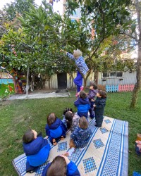 Dalından Mandalina Topluyoruz