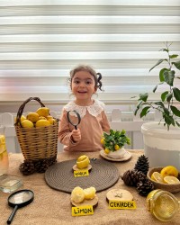 EKOLOJİ DERSİMİZDEN (LİMONUN YAŞAM DÖNGÜSÜ)