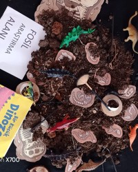 ARAŞTIRARAK ÖĞRENME  (MERAK DUYGUSUNU TETİKLEME)