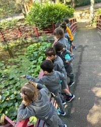 Nezahat Gökyiğit Botanik Bahçesi'nde Doğa Keşfi!