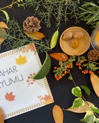 Sonbahar Teraryumu: Doğanın Güzelliklerini Keşfettik! 🍂🍁