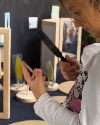 Yaprakları İnceliyoruz