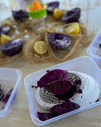 Cumhuriyet Bilim Atölyesi