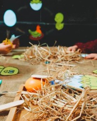 yaşam döngüsü çalışmaları