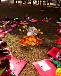 doğa ve alan gezileri