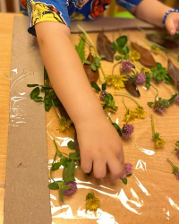 Sonbahar Etkinliğimiz