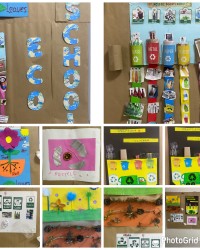 EKO-OKULLAR PROJESİ