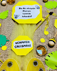 Scamper Çalışması