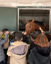 At Çiftliği Gezisi