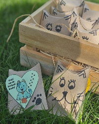 Hadi Sen de Bir Kedi Besle