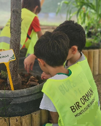 Meyve Ağaçlarımız