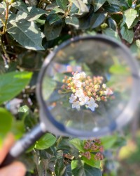 Doğamızı Tanıyoruz