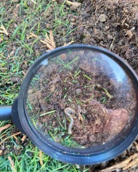 Doğamızdaki Canlılar