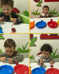 Renk Eşleştirme