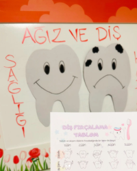 AĞIZ VE DİŞ SAĞLIĞI