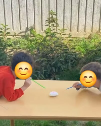 Bahçe Oyunlarımız