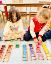 MONTESSORİ RENK KARTELASI