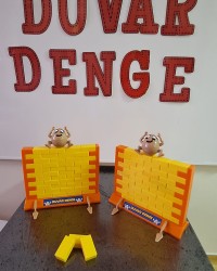 AKIL VE ZEKA OYUNLARI ATÖLYESİ