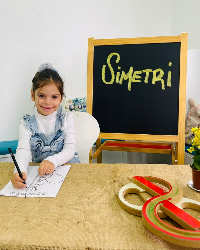 Simetri Çalışmamız