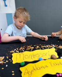 Montessori Eğitimi