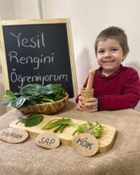 YEŞİL RENGİ ÖĞRENİYORUM