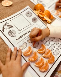 MANDALİNA KAÇ DİLİM?