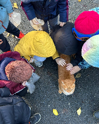 Açık Hava Etkinliğimizde Sevimli Bir Kedi Sevdik!