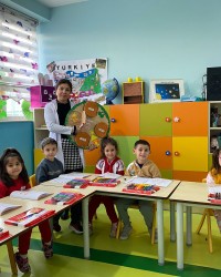 Tavuğun Yaşam Döngüsünü