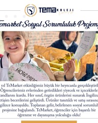 TeMarket