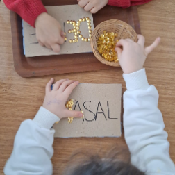 Bilişsel Gelişim ve İnce Motor Becerisi Gelişimi