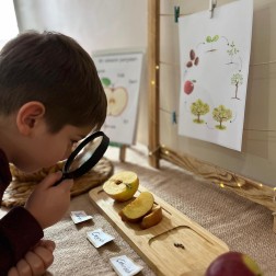 FEN VE BİLİM ÇALIŞMASI