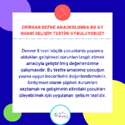 BU AY HANGİ GELİŞİM TESTİNİ UYGULUYORUZ ?